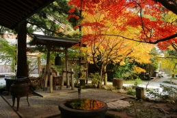 紅葉　覚園寺