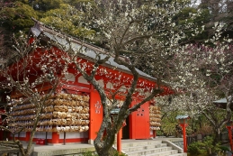 梅　荏柄天神社