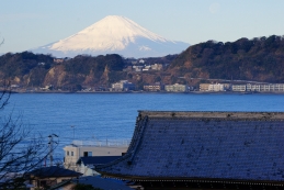 光明寺裏山から見る初富士
