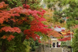 紅葉　海蔵寺