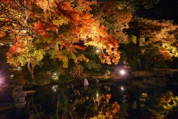 紅葉ライトアップ　長谷寺