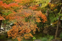 紅葉　覚園寺