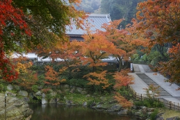 紅葉　円覚寺