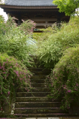 萩 海蔵寺