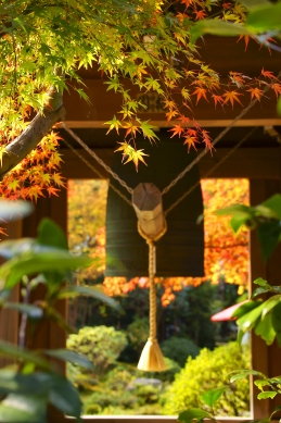 紅葉　海蔵寺