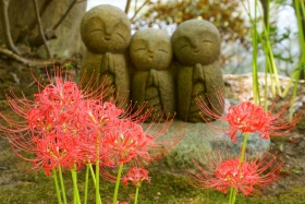 彼岸花と良縁地蔵　長谷寺