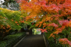 紅葉　円覚寺