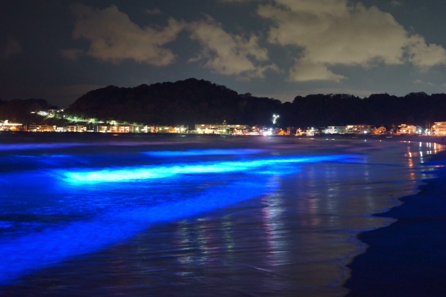 幻想的な青い波 由比ヶ浜night Wave 和風リゾートホテルkkr鎌倉わかみや