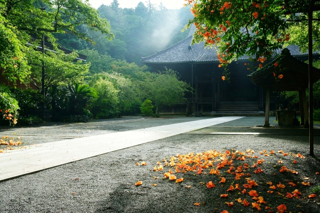 妙本寺1