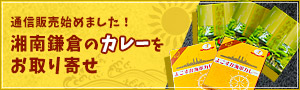 鎌倉わかみやの通信販売 長谷寺お寺のカレー＆よこすか海軍カレー