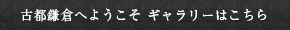 古都鎌倉へようこそ ギャラリーはこちら