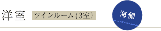 洋室ツインルーム(3室) 海側
