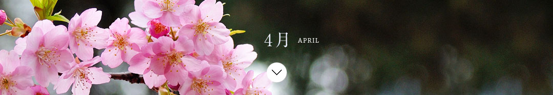 4月