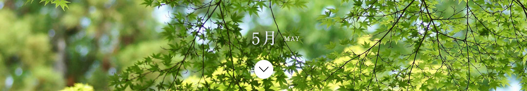 5月