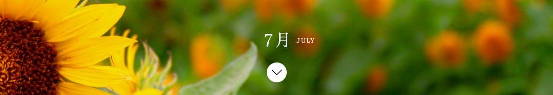 7月